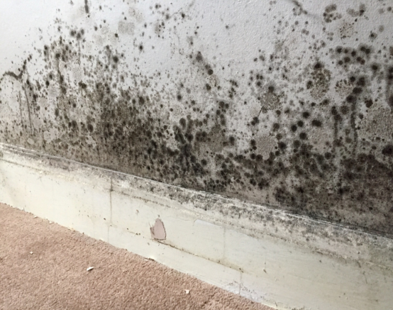 mould restoration