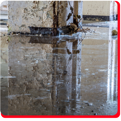 large loss restoration Toronto Impact Restore (3)-2